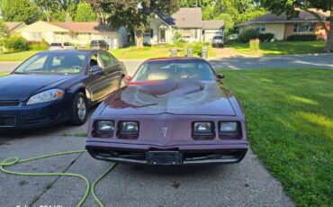 Pontiac-trans-am-1981-custom-10