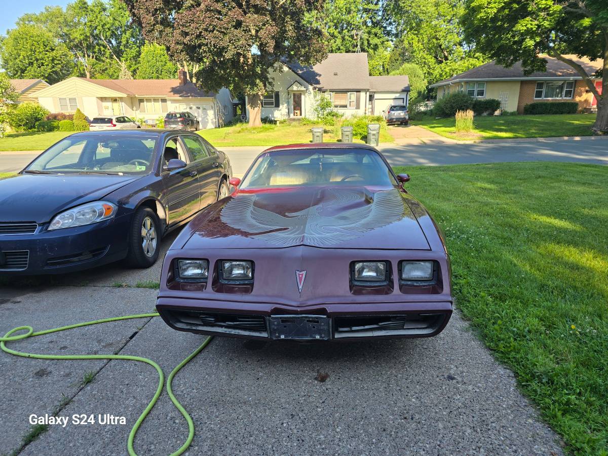 Pontiac-trans-am-1981-custom-10