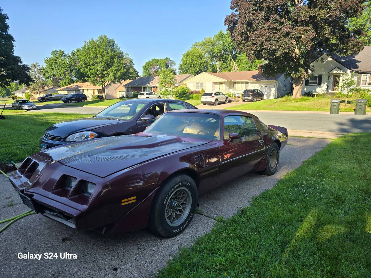 Pontiac-trans-am-1981-custom-11