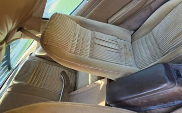 Pontiac-trans-am-1981-custom-2