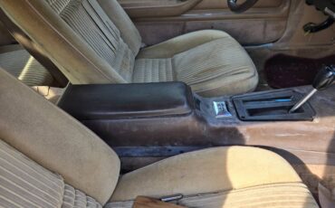 Pontiac-trans-am-1981-custom-3