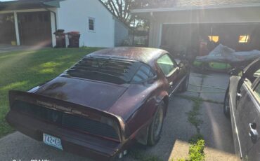 Pontiac-trans-am-1981-custom-5