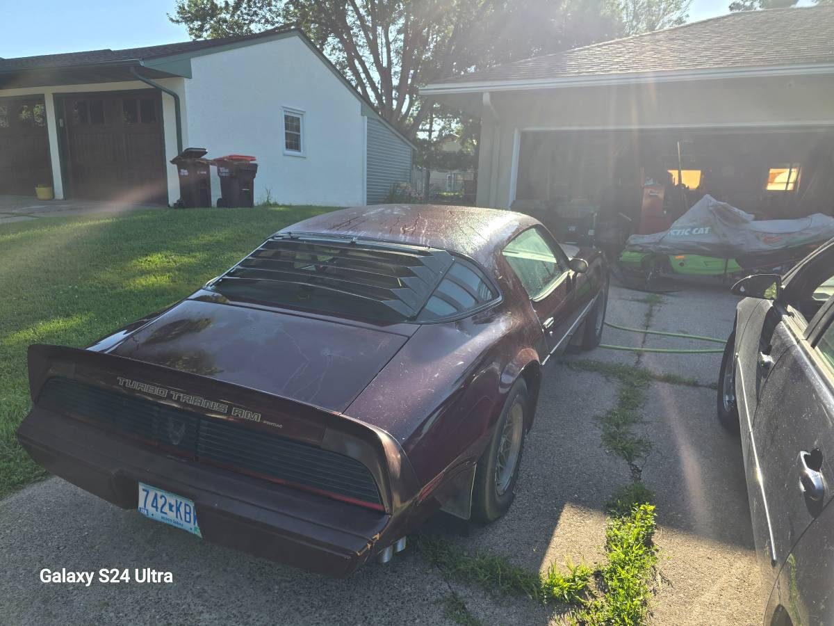 Pontiac-trans-am-1981-custom-5