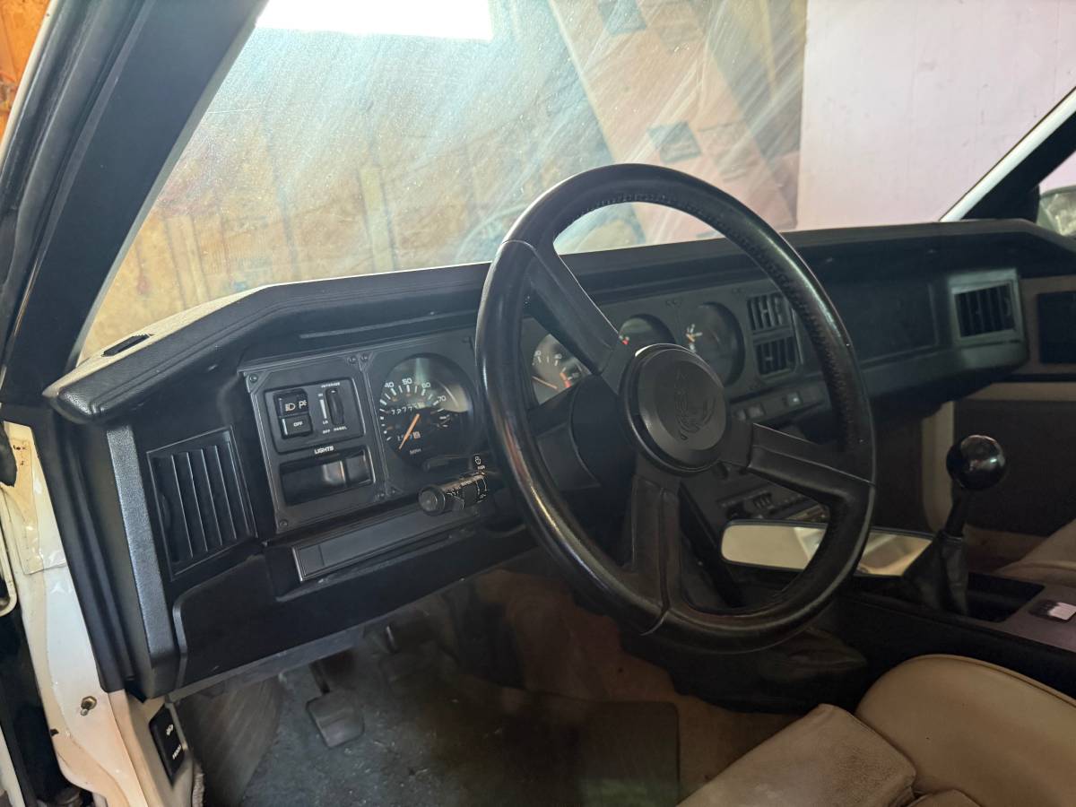 Pontiac-trans-am-1983-white-11