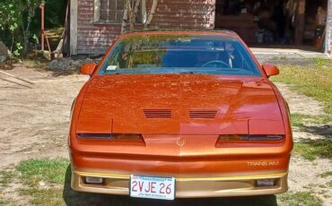 Pontiac-trans-am-1985-brown-1