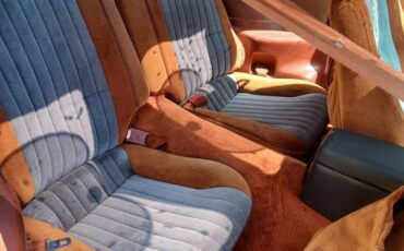 Pontiac-trans-am-1985-brown-12
