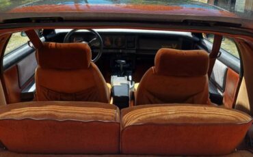 Pontiac-trans-am-1985-brown-13