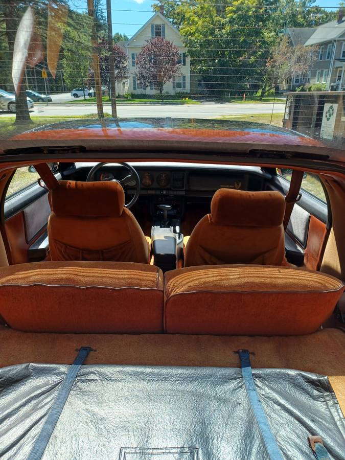 Pontiac-trans-am-1985-brown-13