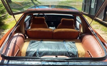 Pontiac-trans-am-1985-brown-14