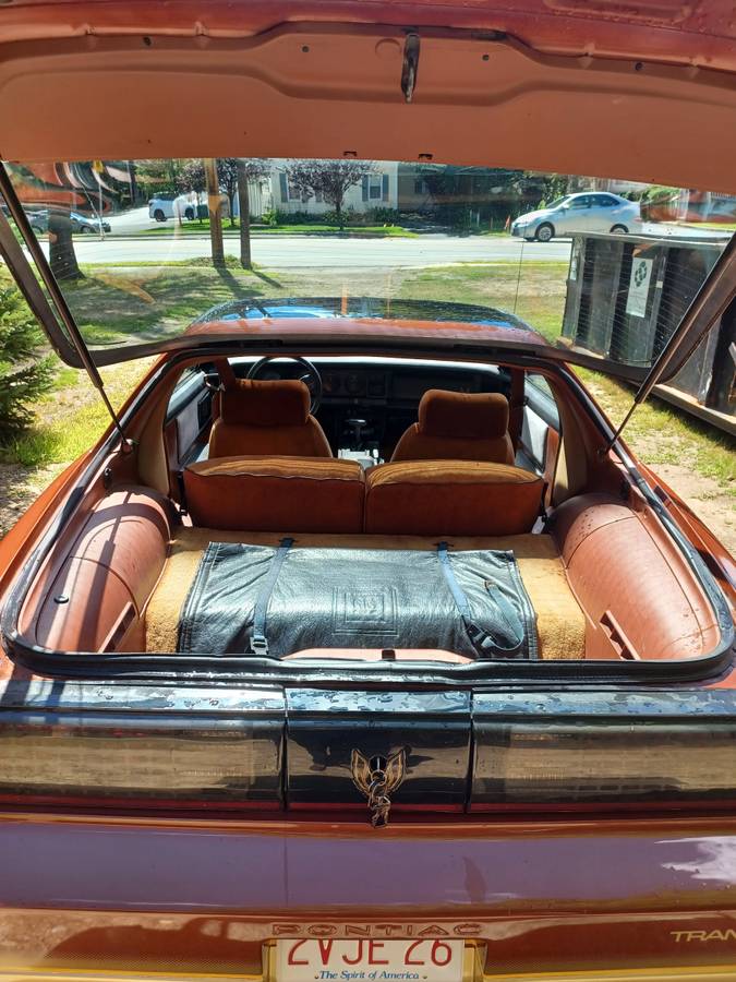 Pontiac-trans-am-1985-brown-14