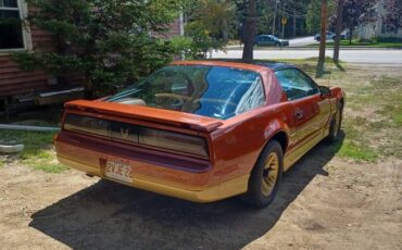 Pontiac-trans-am-1985-brown-3