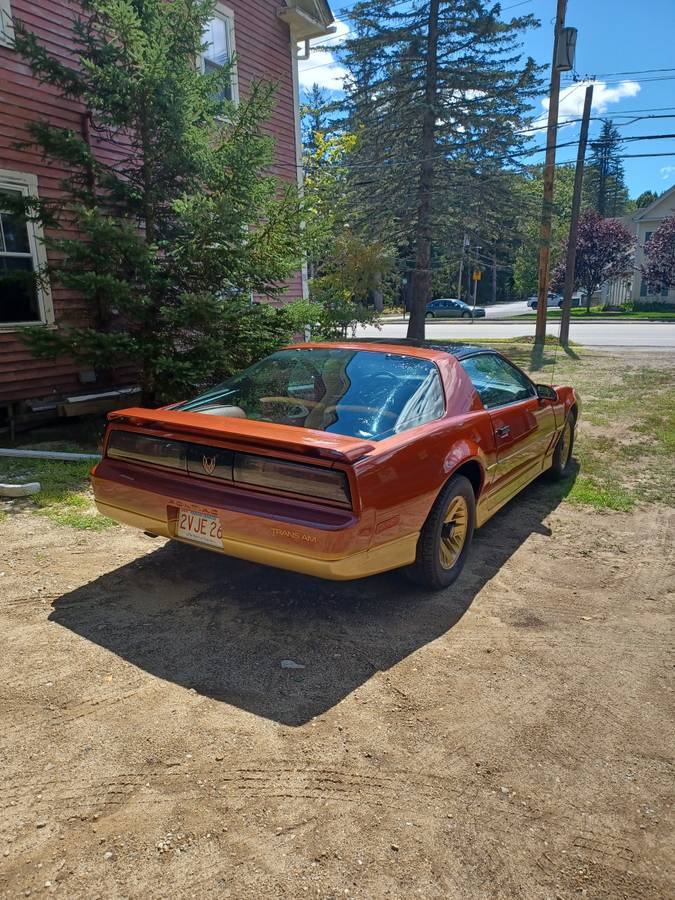 Pontiac-trans-am-1985-brown-3