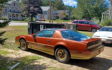 Pontiac-trans-am-1985-brown-6