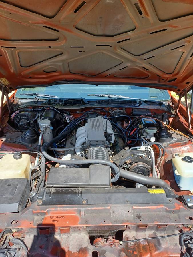 Pontiac-trans-am-1985-brown-8