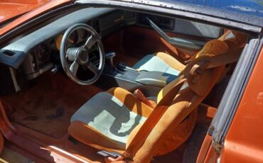 Pontiac-trans-am-1985-brown-9