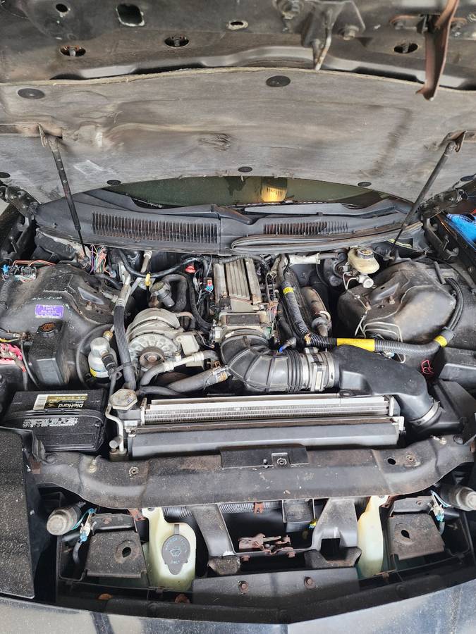 Pontiac-trans-am-1995-4