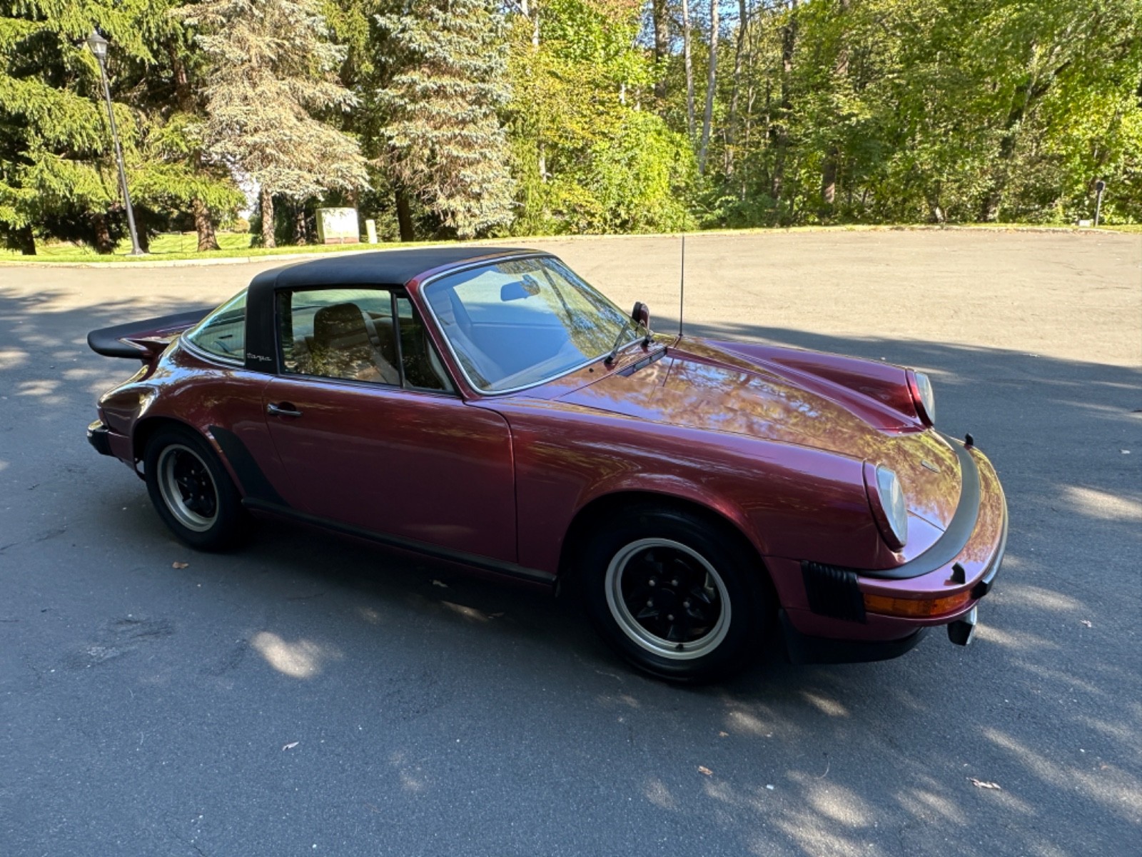 Porsche-Carrera-3.0-1977-targa-8