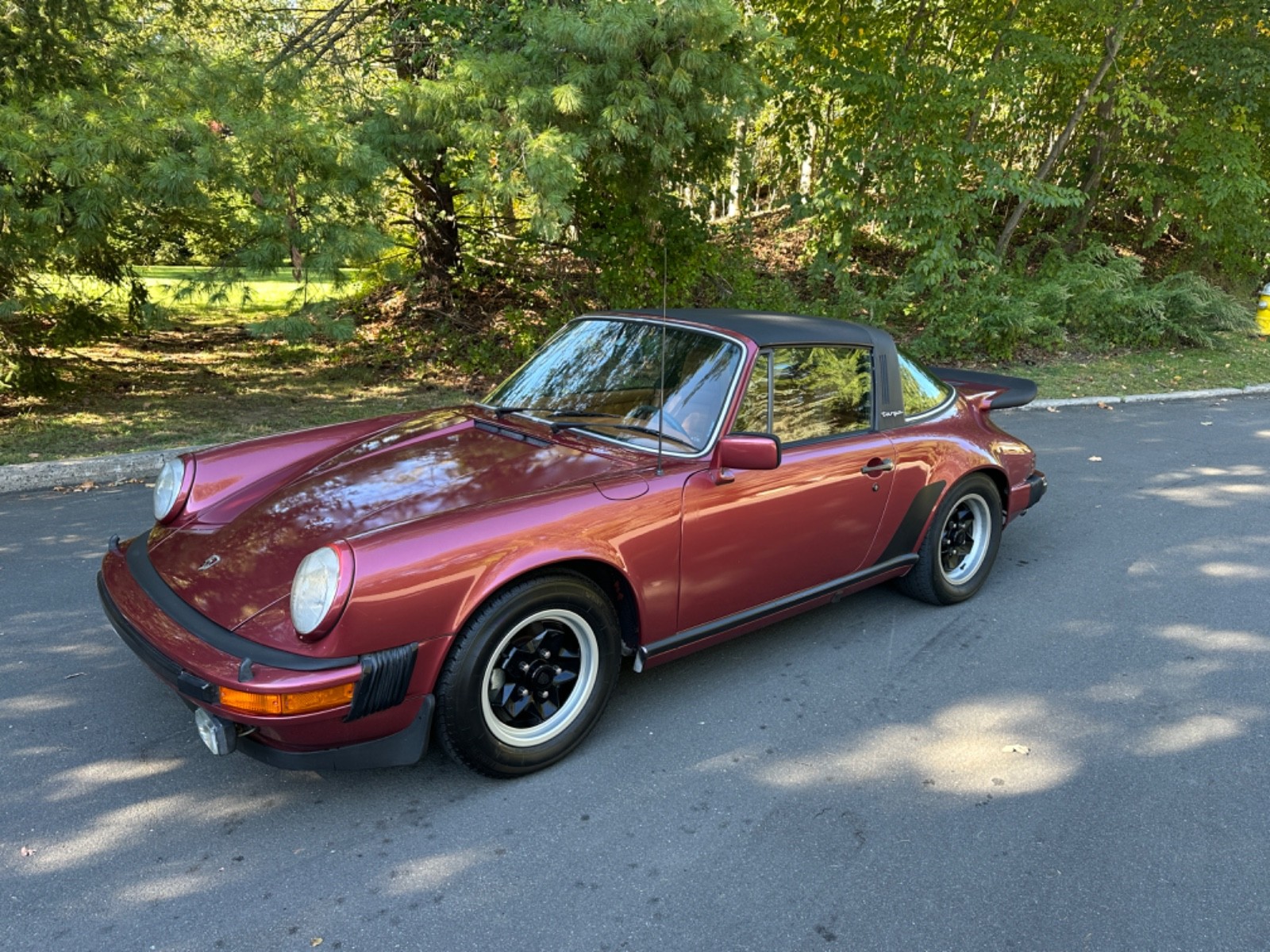 Porsche-Carrera-3.0-1977-targa