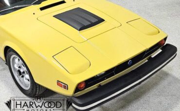 Saab-Sonett-1974-Coupe-10