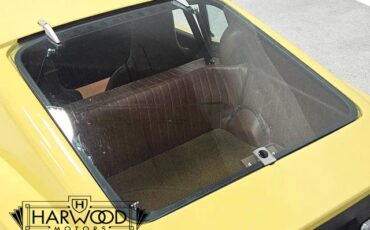 Saab-Sonett-1974-Coupe-25