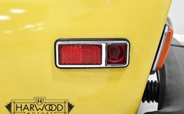 Saab-Sonett-1974-Coupe-28