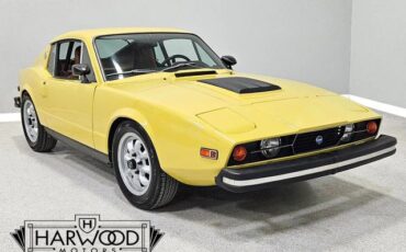 Saab-Sonett-1974-Coupe-7