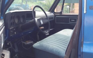 Scottsdale-k10-1978-3