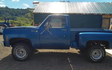Scottsdale-k10-1978-5