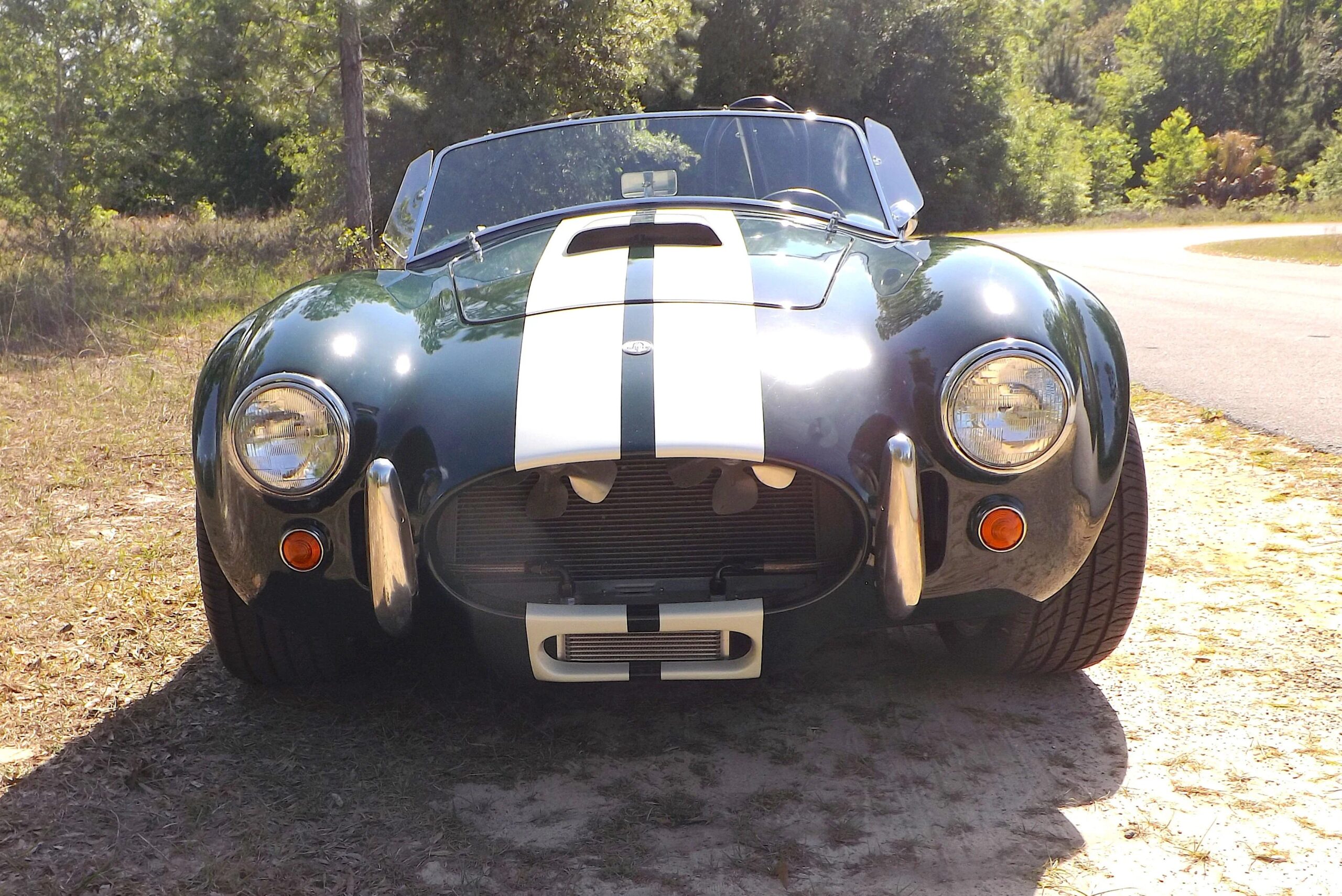 Shelby-Cobra-1965-Black-4
