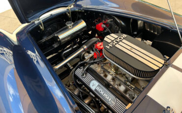 Shelby-Cobra-1965-Convertible-33