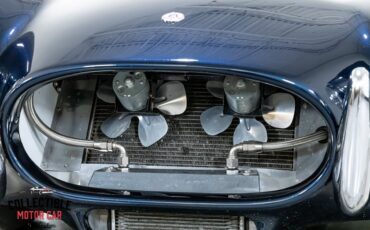 Shelby-Cobra-1965-Convertible-34