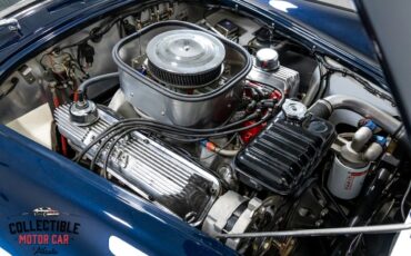 Shelby-Cobra-1965-Convertible-4