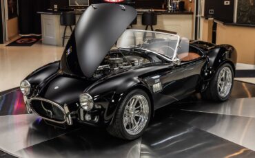 Shelby-Cobra-1965-Other-6