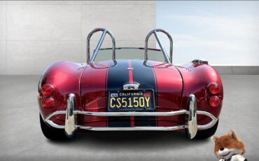 Shelby-Cobra-Replica-1965-Convertible-14