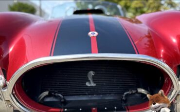 Shelby-Cobra-Replica-1965-Convertible-15