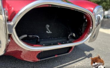 Shelby-Cobra-Replica-1965-Convertible-18