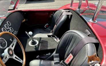 Shelby-Cobra-Replica-1965-Convertible-3