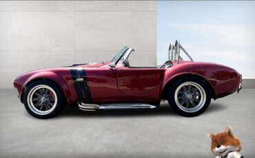 Shelby-Cobra-Replica-1965-Convertible-4