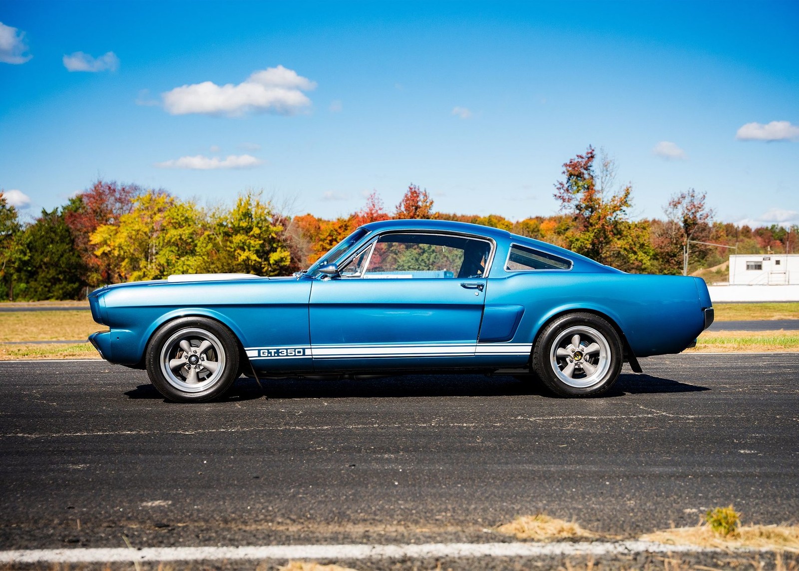 Shelby-GT350-1966-Other-10