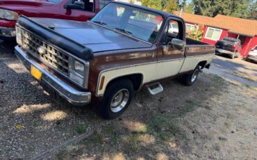 Silverado-c10-1980