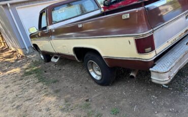 Silverado-c10-1980-4