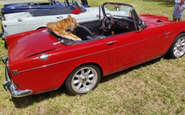 Sunbeam-Tiger-1966-Convertible-3