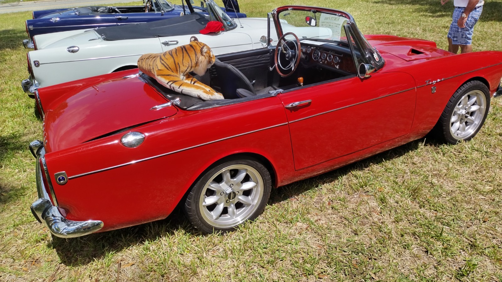 Sunbeam-Tiger-1966-Convertible-3