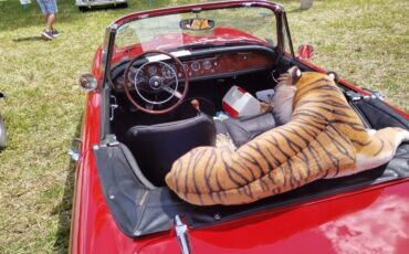 Sunbeam-Tiger-1966-Convertible-4