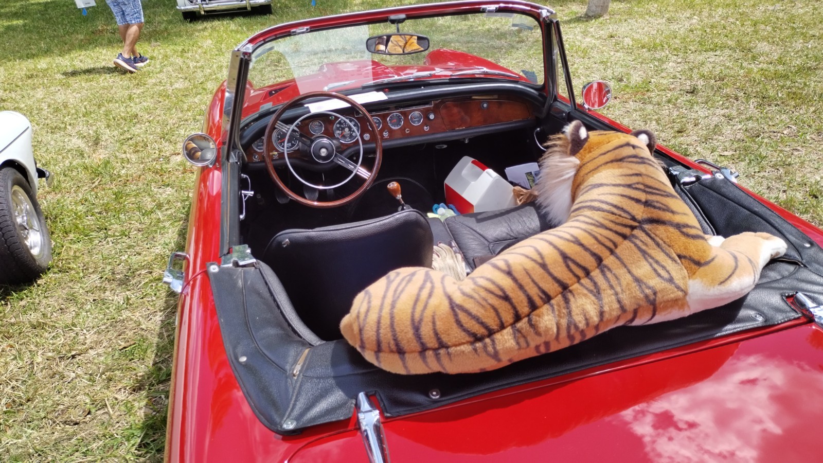 Sunbeam-Tiger-1966-Convertible-4