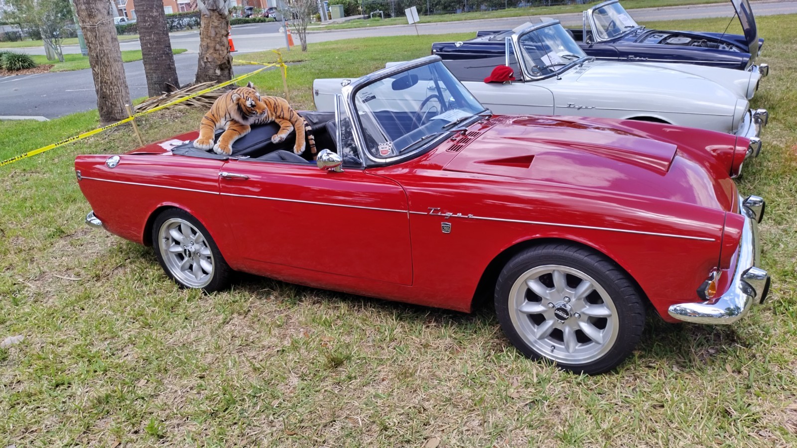 Sunbeam-Tiger-1966-Convertible-6
