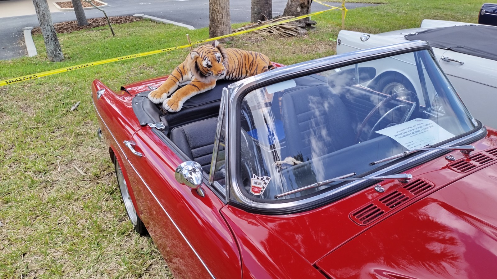 Sunbeam-Tiger-1966-Convertible-7