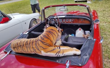 Sunbeam-Tiger-1966-Convertible-8