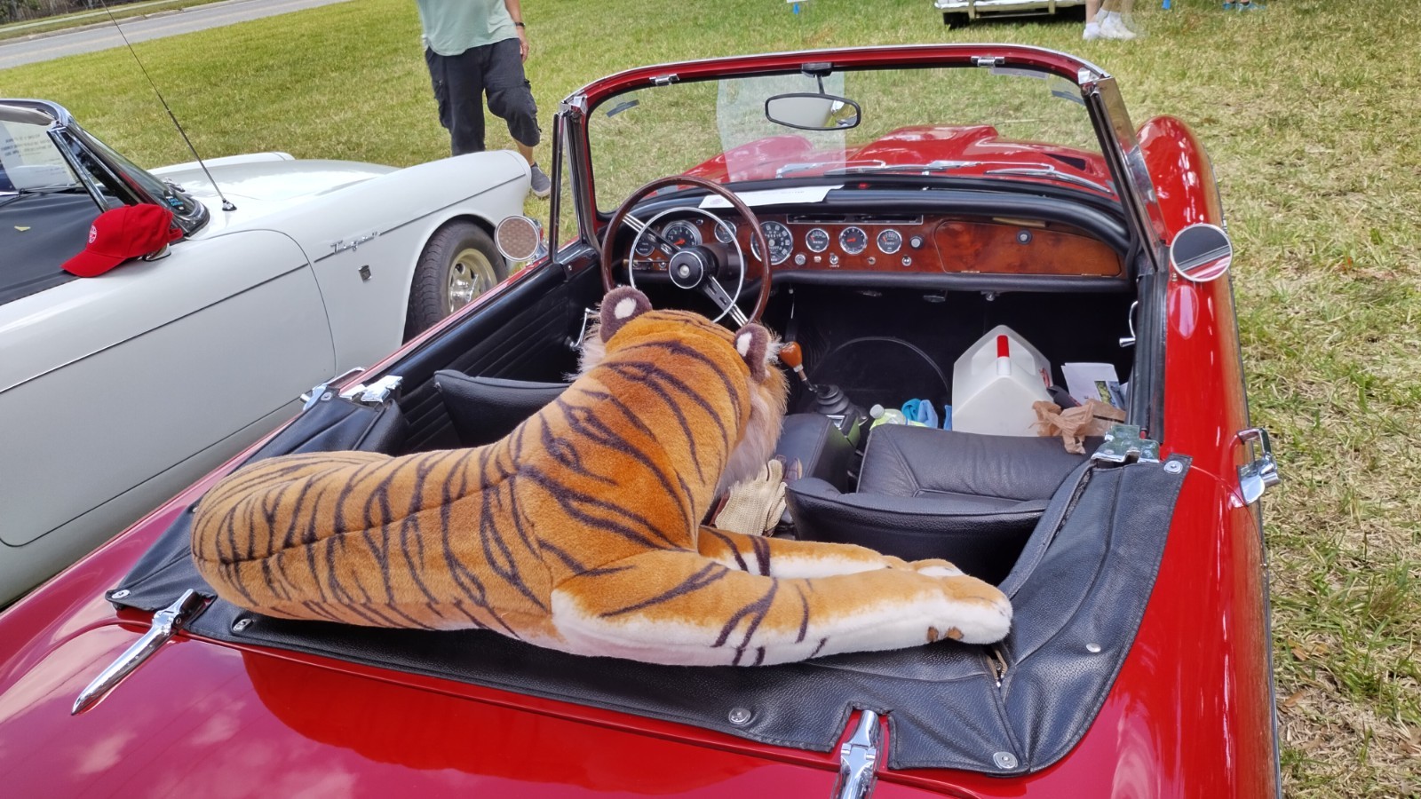Sunbeam-Tiger-1966-Convertible-8