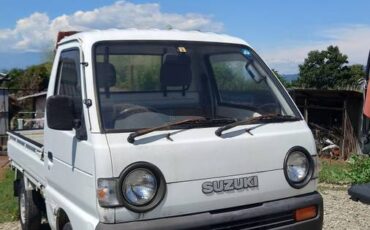 Suzuki-carry-1994-white